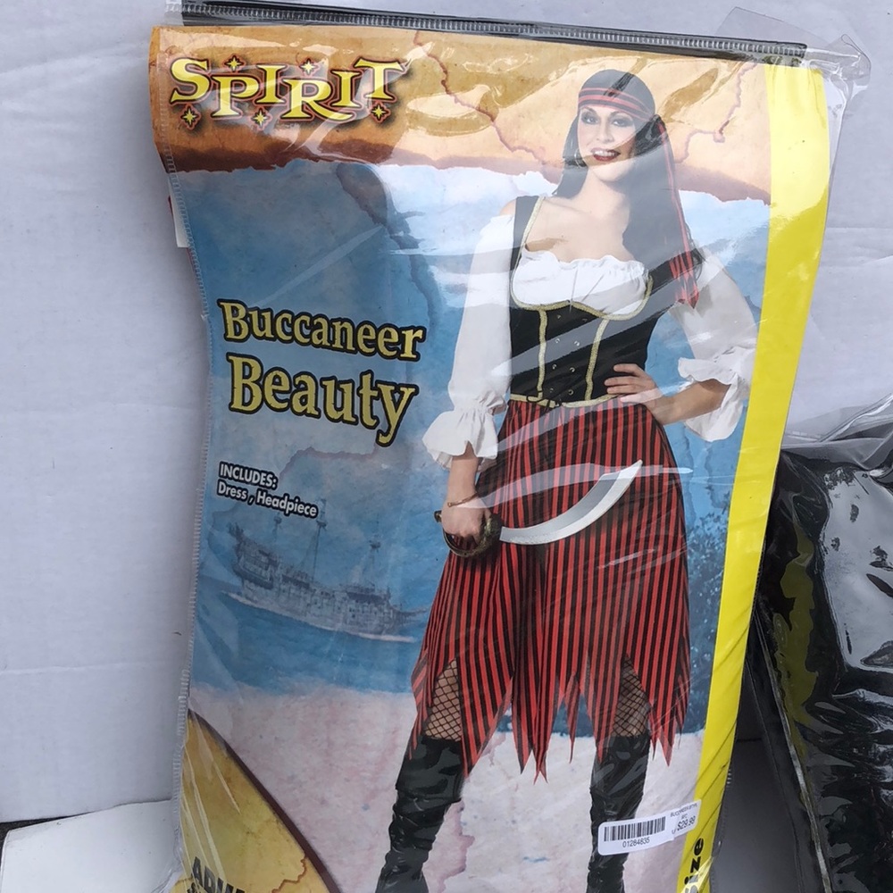 Plus size pirate costume